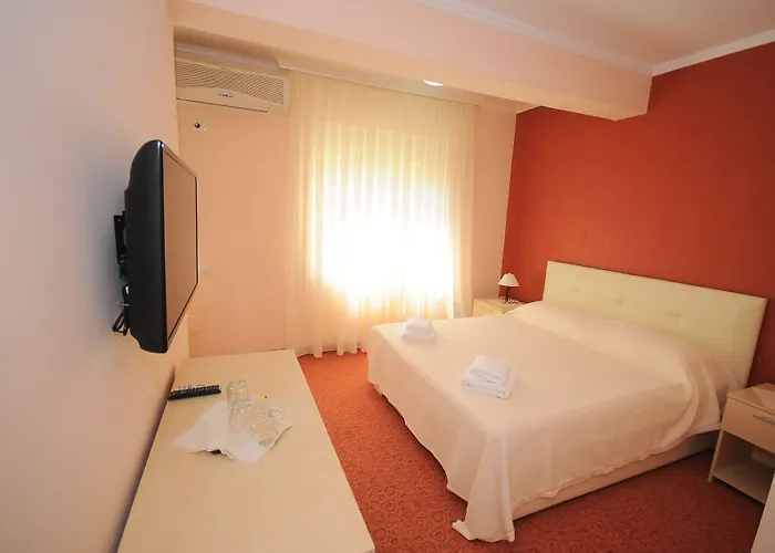 Signature Idea ティラナ